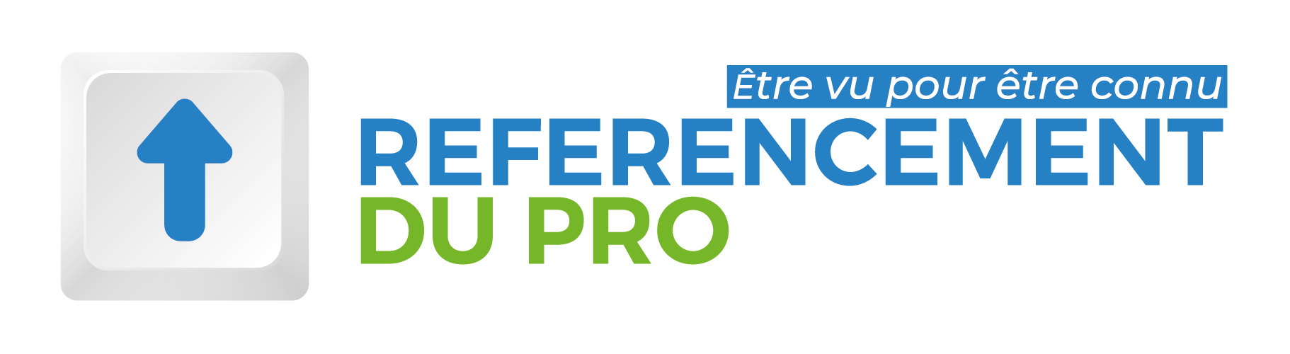 Referencement Du Pro